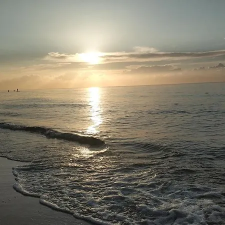 Daire Blue Mare Rac *