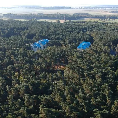 Daire Blue Mare Rac *